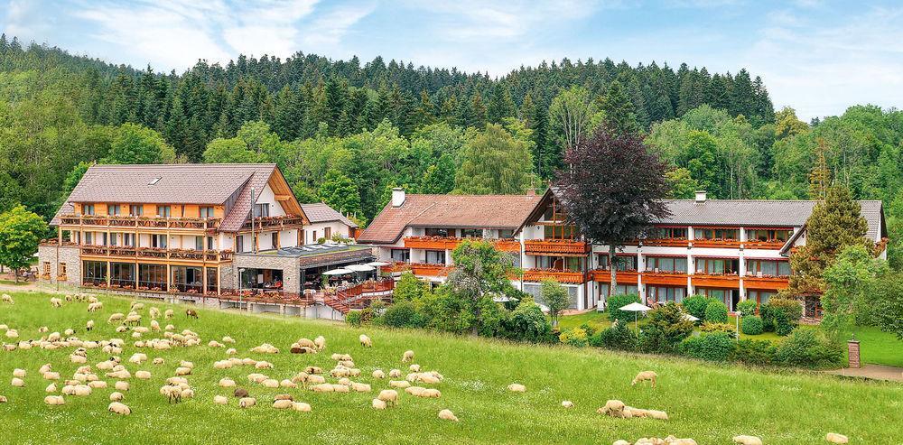 Hotel Gruener Wald Freudenstadt Ngoại thất bức ảnh