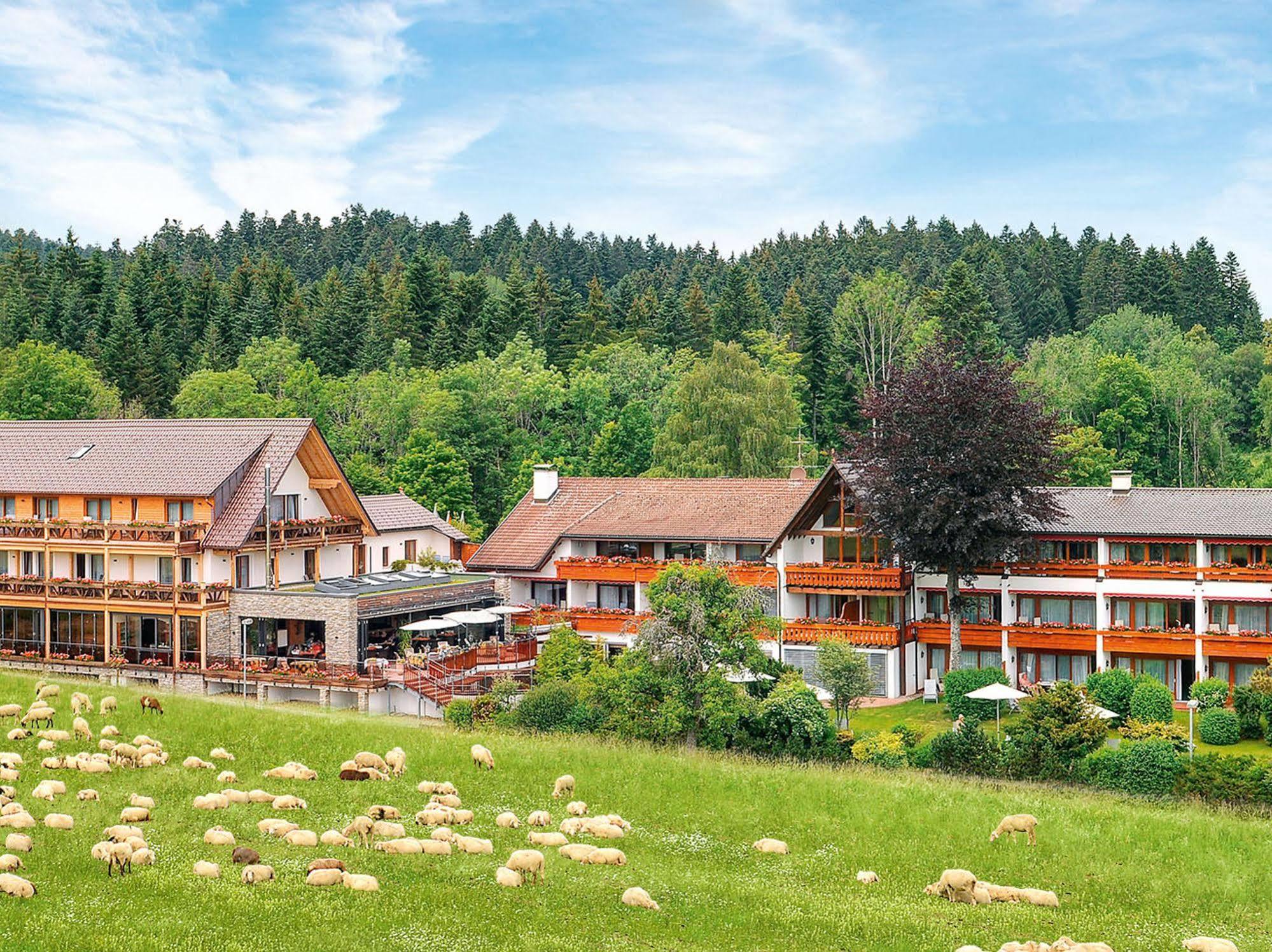 Hotel Gruener Wald Freudenstadt Ngoại thất bức ảnh